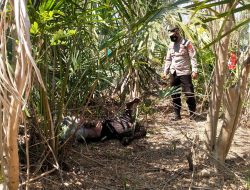 Hilang Tiga Hari, Warga Nunkurus Ditemukan Meninggal Dunia di Kebun