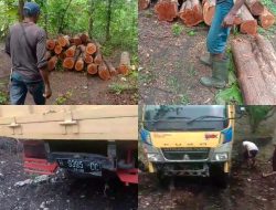Masyarakat Raknamo Temukan Ilegal Logging Di Hutan Lindung: Alam Rusak!