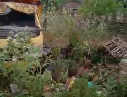 Keluarga Korban Dump Terbalik di TTS, Mengaku Kecewa dengan Pemilik Kendaraan