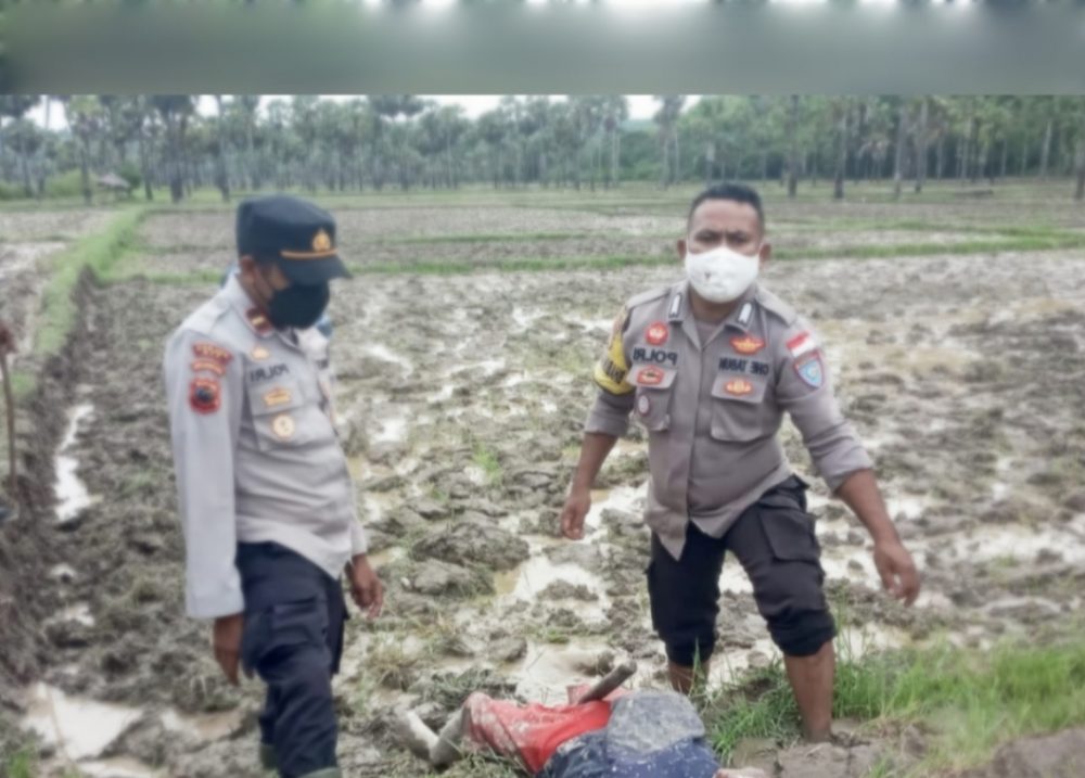 Foto.  Penemuan mayat laki-laki di area pesawahan Oetaman, Desa Linamnutu, Kecamatan Amanuban Selatan, Kabupaten TTS.