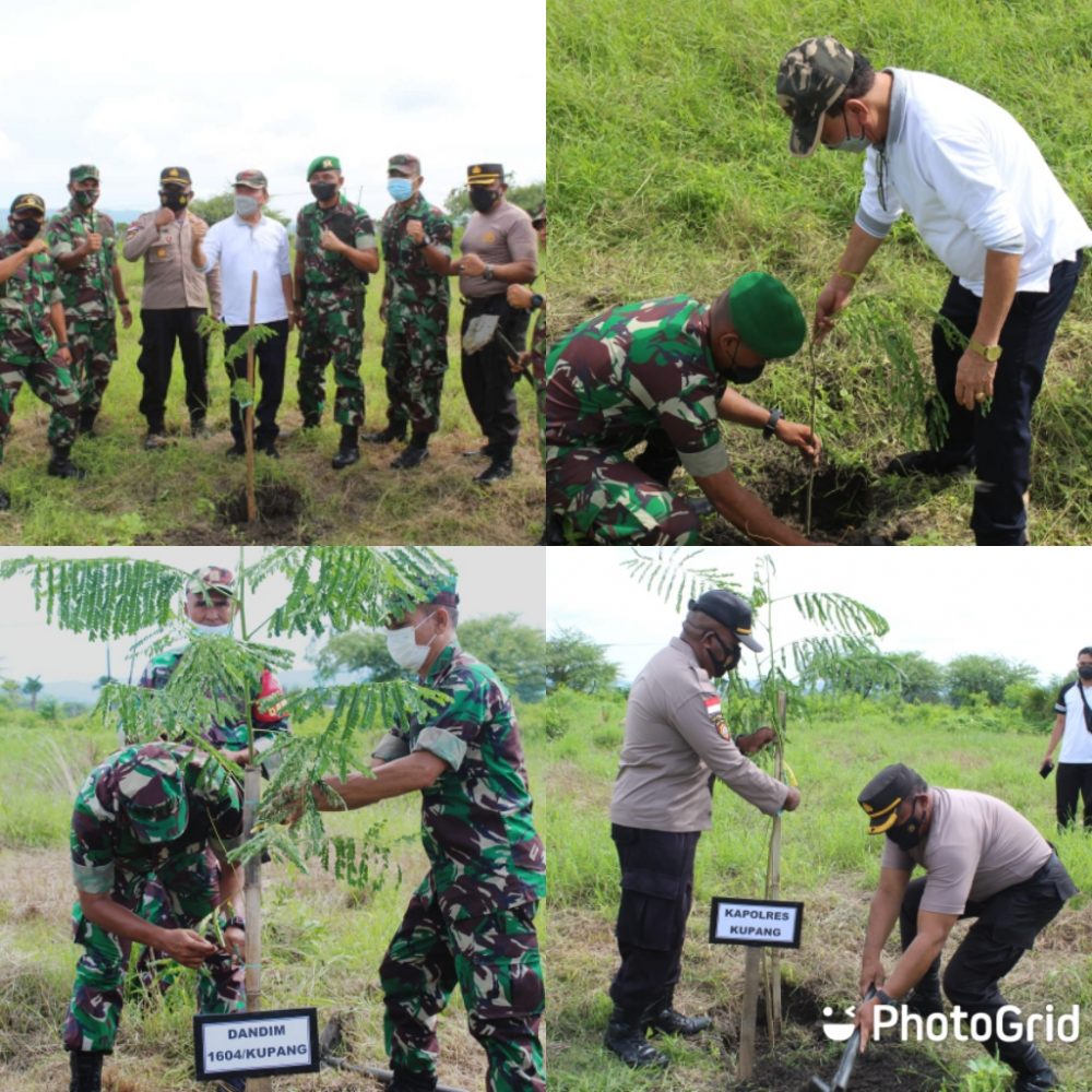 Foto. Kolaborasi Pemkab Kupang, Danbrigif 21 dan Polres Kupang Tanam Pohon di Kantor Bupati.