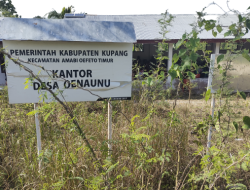 Jika Jemput Paksa Kepala Desa Oenaunu, Tim Kades Akan Lakukan Aksi Anarkis