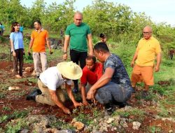 ASN Kota Kupang Gempur Lahan Kosong di Naimata, Tanam 2000 Anakan Kelor