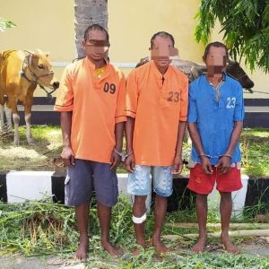Polres Kupang Berhasil Ciduk Enam Anggota Komplotan Pencuri Ternak, Seorang Terpaksa Ditembak