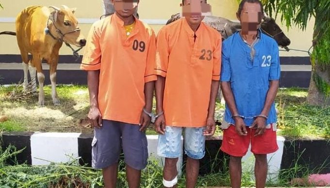 Polres Kupang Berhasil Ciduk Enam Anggota Komplotan Pencuri Ternak, Seorang Terpaksa Ditembak