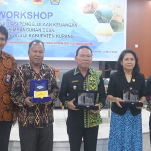 Bupati Kupang Secara Resmi Buka Workshop BPKP NTT Tentang Pengelolaan Keuangan Desa 