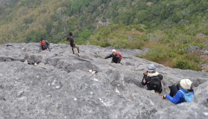 Gunung Fatuleu, Destinasi Tracking Menantang di Nusa Tenggara Timur!