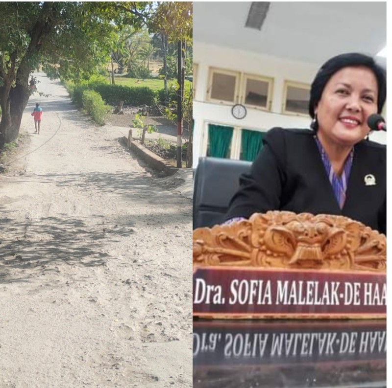 Foto. Wakil Ketua DPRD Kabupaten Kupang, Sofia Malelak de-Haan Dukung Pemerintah Tuntaskan Ruas Jalan Tarus-Baumata.