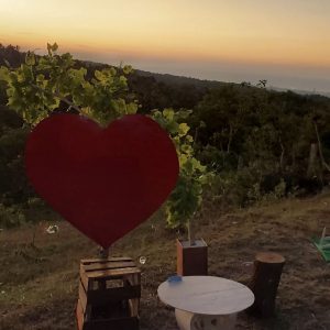 Menikmati Keindahan Sunset yang Mistis di Atas Bukit Fatusuba