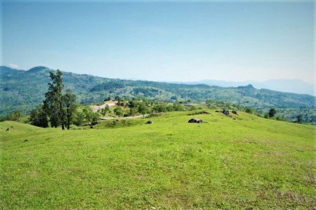 Foto. Bukit Teletubbies Lelogama.
