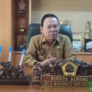 Masih Ada 4 Ribu Lebih Anak di Kabupaten Kupang Alami Stunting