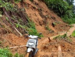 Seorang Pemotor Meninggal Dunia Tertimpa Longsor di Kabupaten Tanah Datar