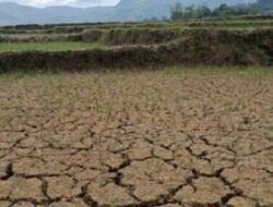 Monitoring BMKG, Sebagian Wilayah NTT Alami Hari Tanpa Hujan Kategori Panjang