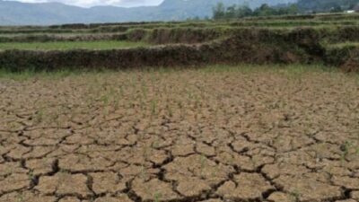 Foto. Monitoring BMKG, Sebagian Wilayah NTT Alami Hari Tanpa Hujan Kategori Panjang.