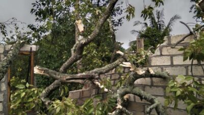 Foto. Puting Beliung Terjang 7 Rumah Warga di Kabupaten Kupang, Tak Ada Korban Jiwa.