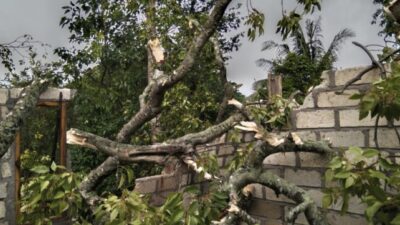 Puting Beliung Terjang 7 Rumah Warga di Kabupaten Kupang, Tak Ada Korban Jiwa