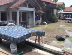 Pascabanjir di Kabupaten Demak BNPB dan BPD Fokus Pemulihan Lingkungan