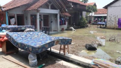 Foto. Pascabanjir di Kabupaten Demak BNPB dan BPD Fokus Pemulihan Lingkungan.