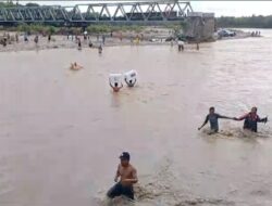 Distribusi Logistik Pemilu Ke TPS, Warga Kabupaten Kupang Nyaris Tersapu Banjir