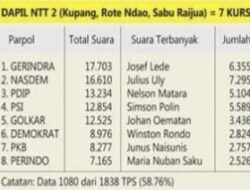 Daftar Nama Sementara, Caleg yang Berpeluang Duduk di Kursi DPRD Provinsi NTT Dapil I dan II