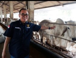 Kisah Inspiratif dari Balaraja: Arie Triyono dan Ridwan Kamil Bersatu dalam Peternakan Terintegrasi