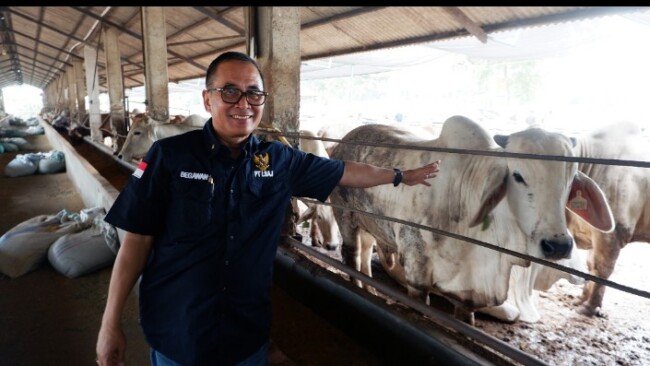 Foto. Kisah Inspiratif dari Balaraja: Arie Triyono dan Ridwan Kamil Bersatu dalam Peternakan Terintegrasi.