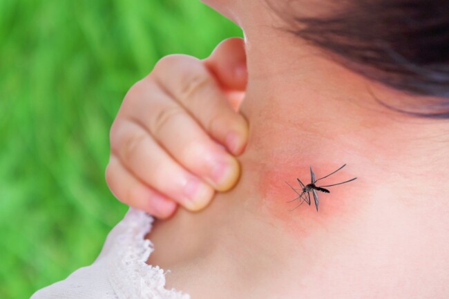 Foto. Waspada Demam Berdarah Dengue: Kenali Gejalanya dan Lindungi Diri Anda.