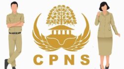 Gambar. Siap Siap! Rekrutmen CPNS 2024 Dibuka Maret, Simak Cara Pendaftaran dan Tahapan Seleksi.