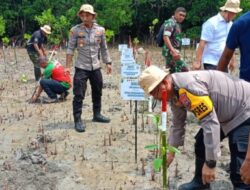 Kapolres Kupang Ikut Hari Bakti Rimbawan ke-41, Tanam 1500 Pohon Mangrove