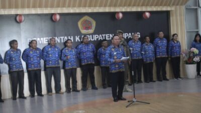 Foto. Luar Biasa, Pemerintah Kabupaten Kupang Bakal Buka 3000 Formasi CPNS 2024.