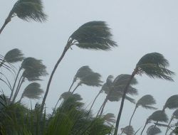 Siklon Tropis Olga Menjauh, BMKG: Waspadai Potensi Angin Kencang di 4 Wilayah Ini