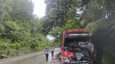Foto. Kronologi Kecelakaan Bus Nabrak Pohon di Jalan Timor Raya, Korban Luka 18 Orang.
