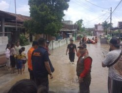 Banjir Rendam 4 Kecamatan di Kabupaten Pesawaran, 338 KK Terdampak