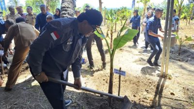 Foto. Lakukan Gerakan Sinergi Reforma Agraria di Kabupaten Kupang, BPN Tanam 2.500 Pisang Cavendish.