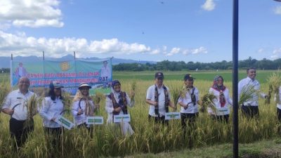 Foto. Monitoring di Kabupaten Kupang, Kementan Dorong Peningkatan Produksi Padi dan Perluasan Areal Tanam.