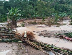 Satu Warga Hilang Akibat Banjir Dan Tanah Longsor Di Kabupaten Tanggamus, Provinsi Lampung