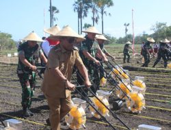 Kunker di Kabupaten Kupang, KSAD TNI AD, Maruli Simanjuntak Lakukan Serangkaian Kegiatan Sosial