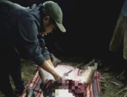 Hilang 2 Hari, Pria Paruh Baya di Kupang Ditemukan Meninggal di Kebun