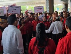 Sambut Calon Gubernur NTT Ansy Lema, Ratusan Massa Membludak di Bandara Komodo Manggarai Barat