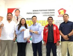 Kubu Partai Gerindra Kota Kupang Memanas, Ketua DPC Tidak Tahu Soal Surat Rekomendasi Chris dan Serena