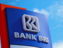 Bank BRI Buka Lowongan Kerja untuk Fresh Graduate dan Berpengalaman