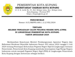 Kabar Gembira, Pendaftaran CPNS   Kota Kupang Mulai Dibuka Hari ini, Berikut Link Pendaftarannya