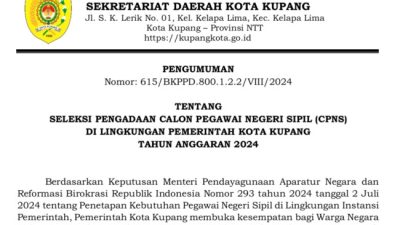 Kabar Gembira, Pendaftaran CPNS   Kota Kupang Mulai Dibuka Hari ini, Berikut Link Pendaftarannya