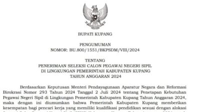 Foto. Pemerintah Kabupaten Kupang Buka Penerimaan CPNS 2024 Sebanyak 600 Formasi, Ini Syarat dan Linknya.
