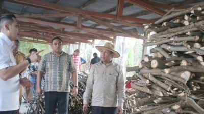 Foto. Pemerintah Kabupaten Kupang Gandeng PT. Timor Bio Energy Kembangkan Emas Hijau.
