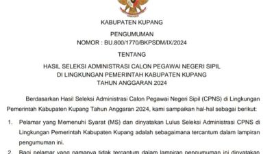 Pengumuman Hasil Seleksi Administrasi CPNS Pemkab Kupang