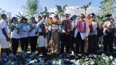 Foto. Delegasi Senator Kongres Amerika, IFAD dan PBB Pantau Program READSI di Kabupaten Kupang.