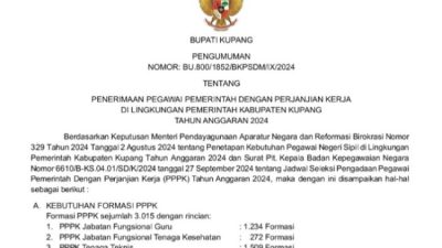 Foto. Seleksi PPPK Kabupaten Kupang 2024 Dibuka Cek Syarat Guru, Tenaga Kesehatan, Teknis.