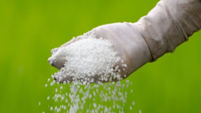 Petani di Kupang Beberkan Kualitas pupuk Bersubsidi Menurun