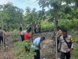 Dukung Program Ketahanan Pangan, Ini Upaya Nyata Polres Kupang Hingga Jajaran Polsek